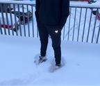 Cornelisz Pants